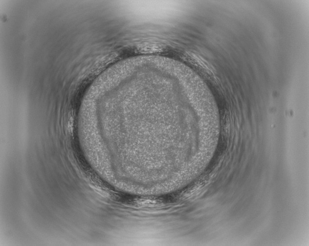 X0000086970315200705141657