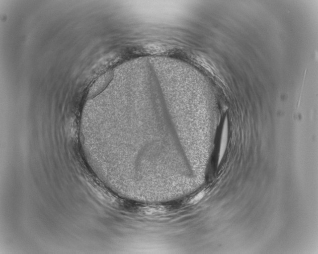 X0000086970317200705141657