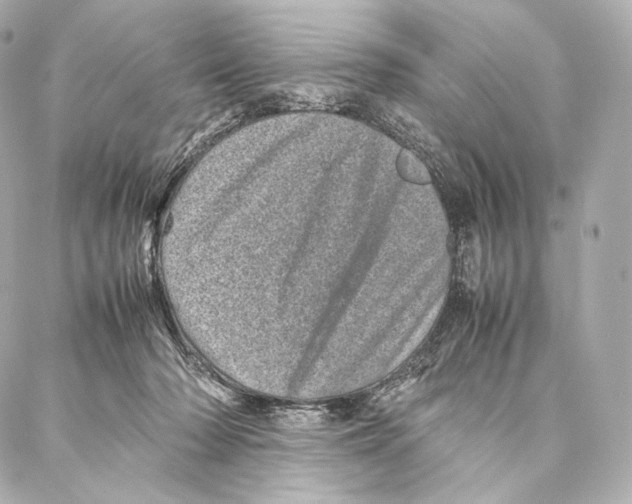 X0000086970318200705141657