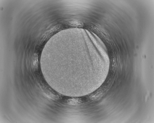 X0000086970320200705141657