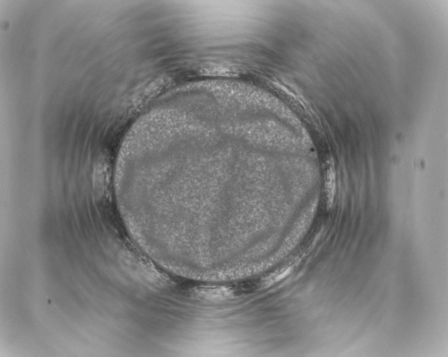 X0000086970322200705141657