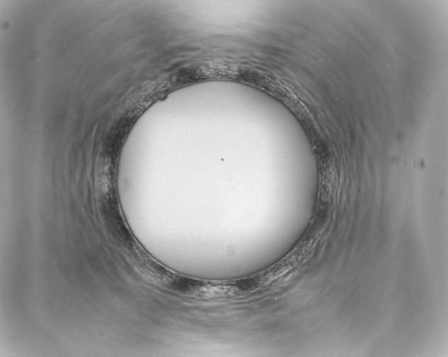 X0000086970323200705141657