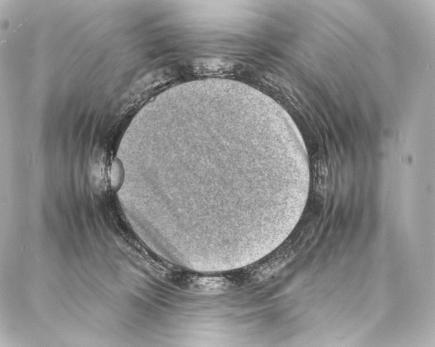 X0000086970324200705141657