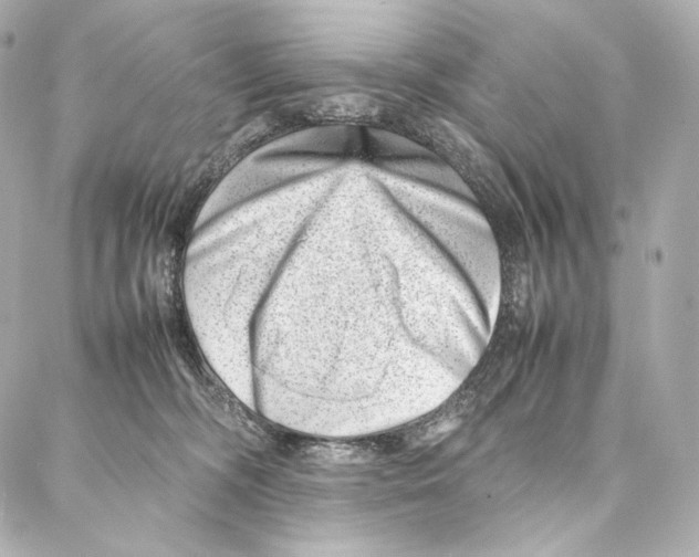 X0000086970326200705141657