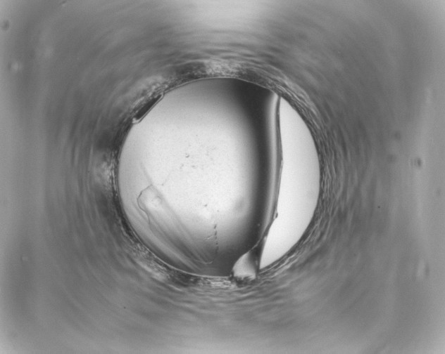 X0000086970329200705141657