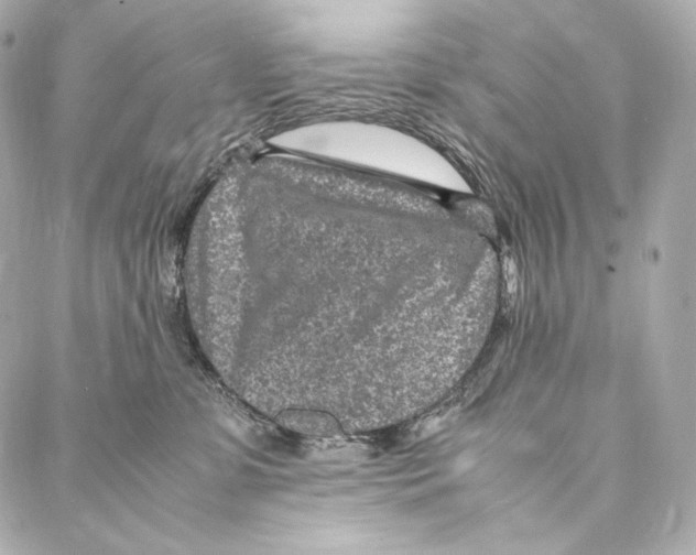 X0000086970331200705141657