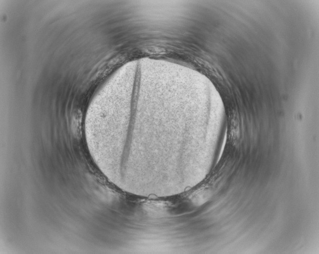 X0000086970332200705141657