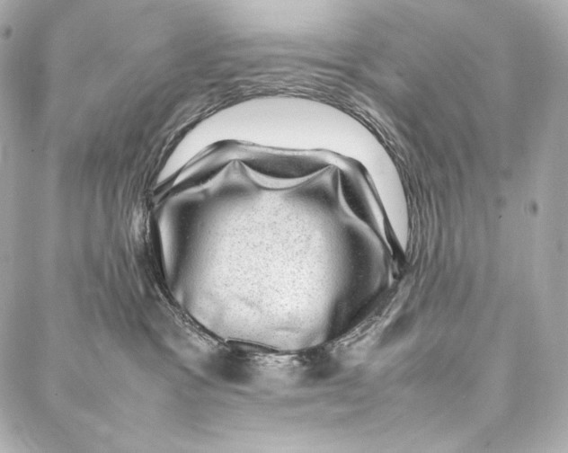 X0000086970333200705141657