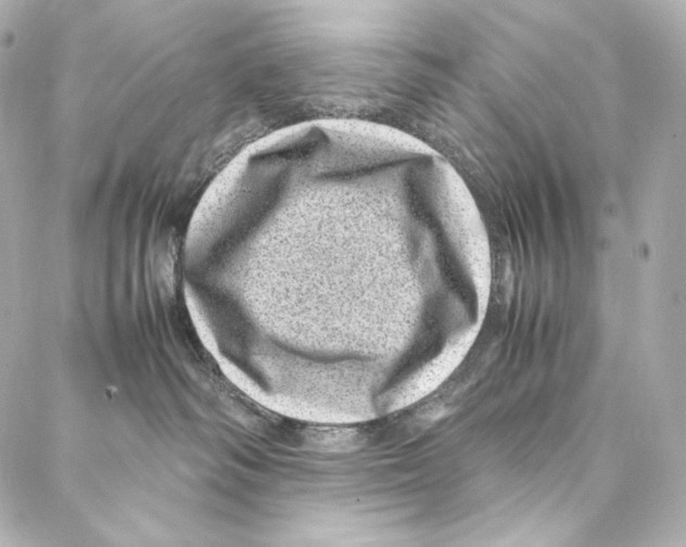 X0000086970334200705141657