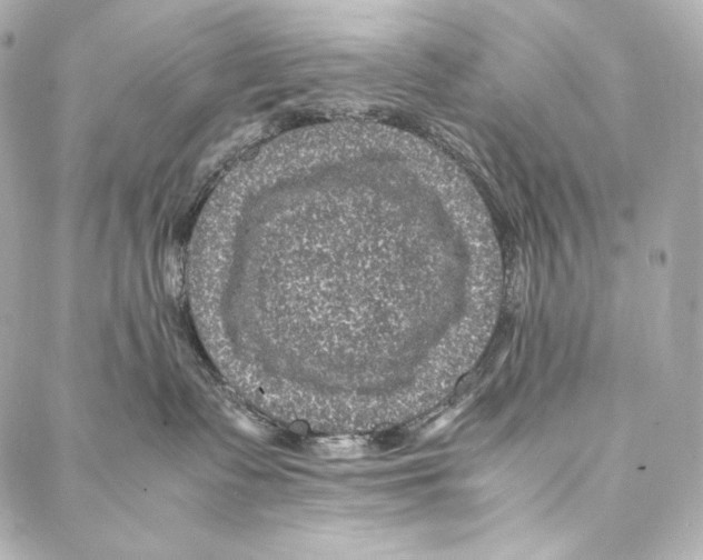 X0000086970335200705141657