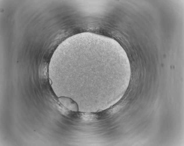 X0000086970336200705141657