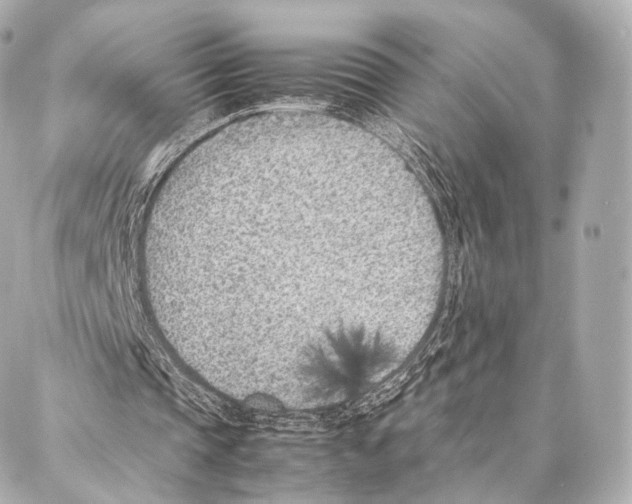 X0000086970337200705141656