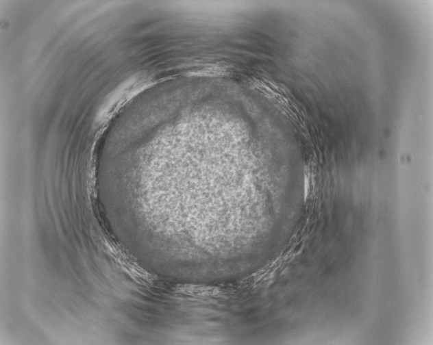 X0000086970339200705141656