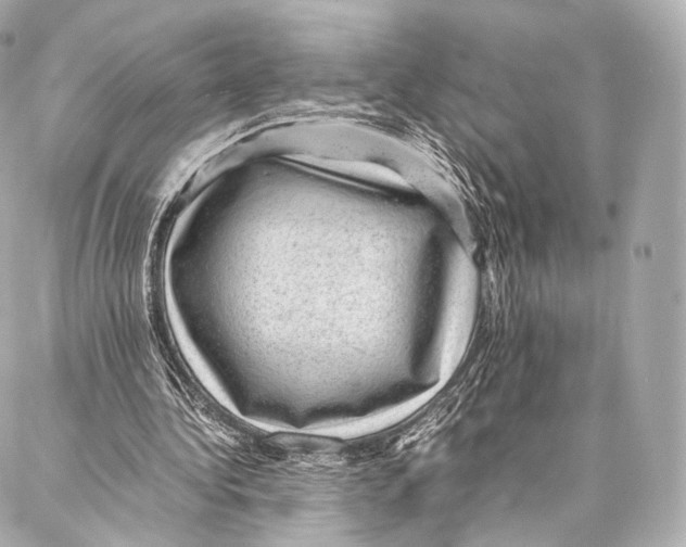 X0000086970340200705141656