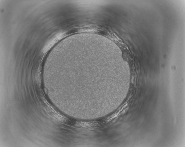 X0000086970341200705141656