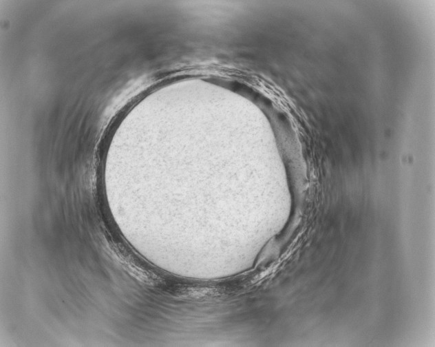 X0000086970344200705141656