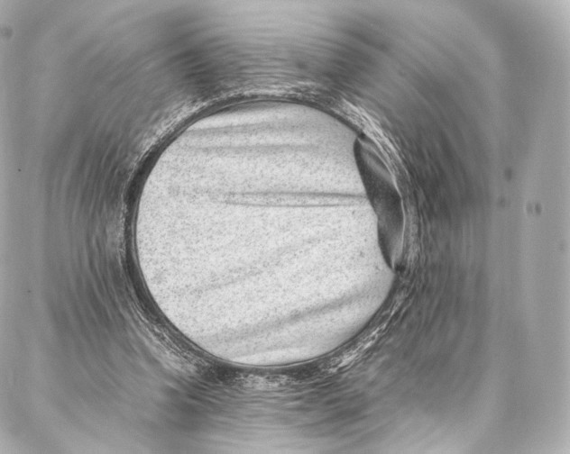 X0000086970346200705141656