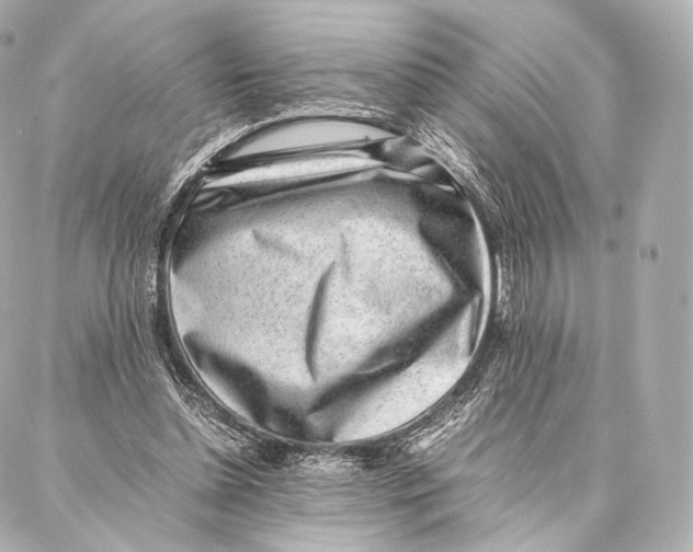 X0000086970348200705141656