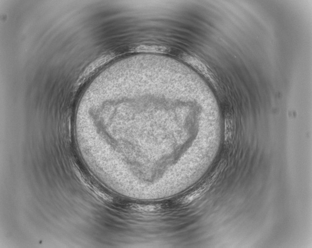 X0000086970349200705141656