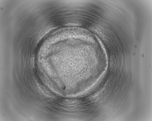 X0000086970351200705141656