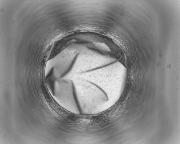 X0000086970352200705141656