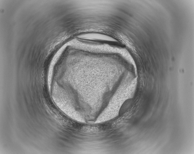 X0000086970354200705141656