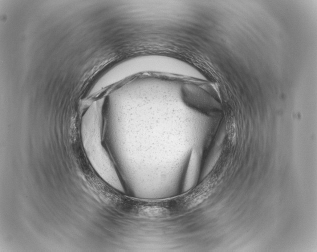 X0000086970360200705141656