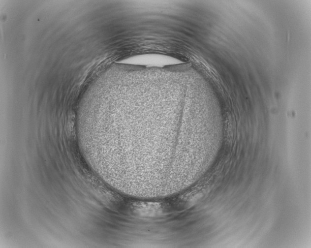 X0000086970361200705141657