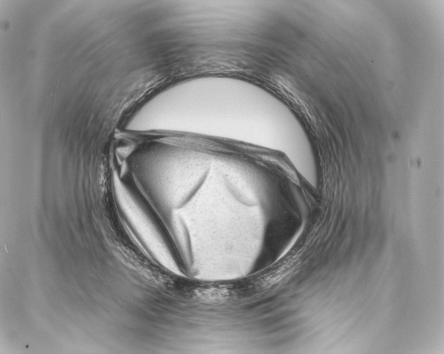 X0000086970362200705141657