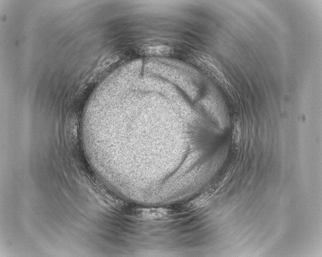 X0000086970363200705141657