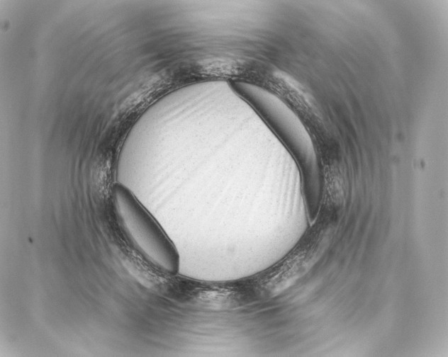 X0000086970364200705141657