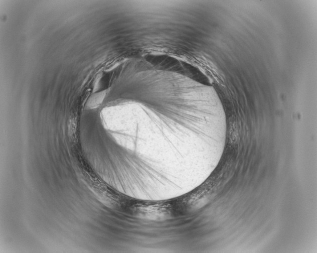 X0000086970365200705141657