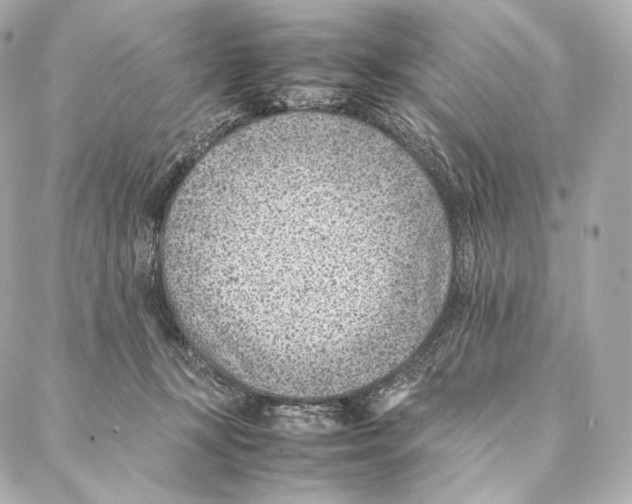 X0000086970367200705141657