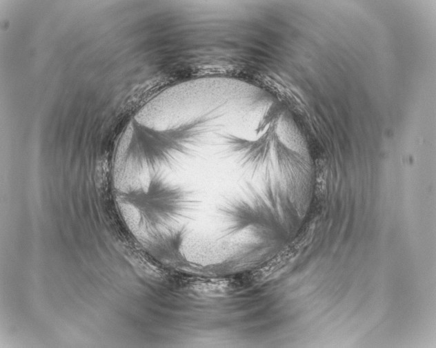 X0000086970369200705141657