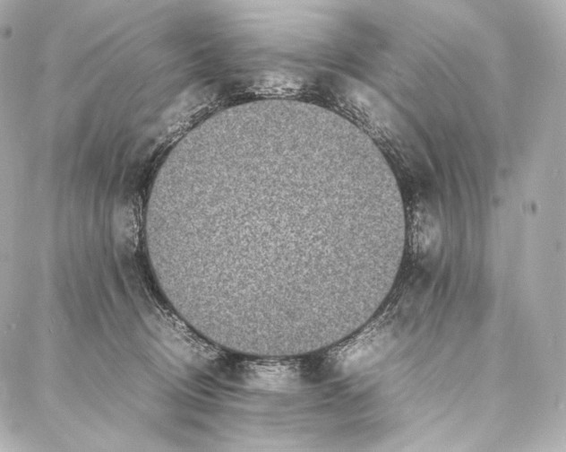 X0000086970370200705141657