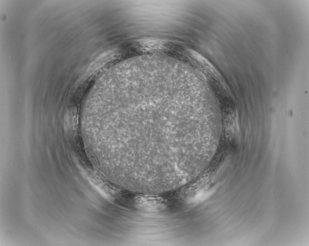 X0000086970372200705141657