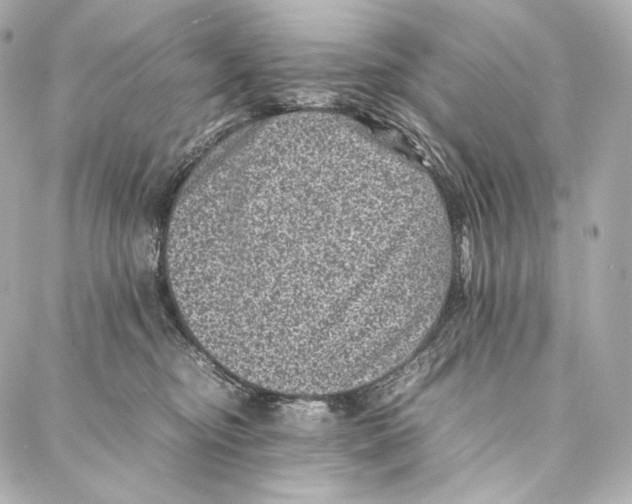 X0000086970374200705141657