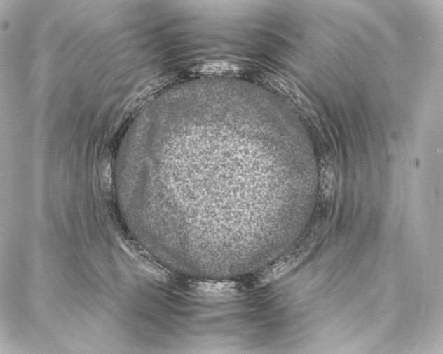 X0000086970375200705141657