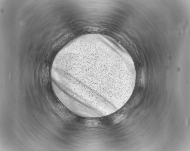 X0000086970376200705141657