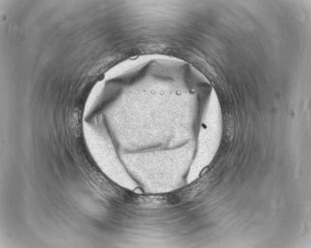 X0000086970378200705141657