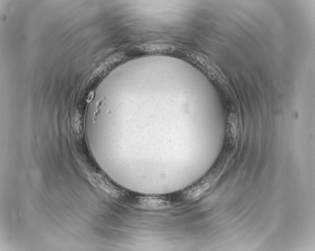 X0000086970380200705141657