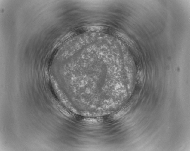 X0000086970381200705141657