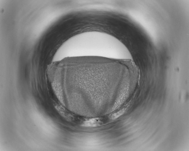 X0000086970382200705141657