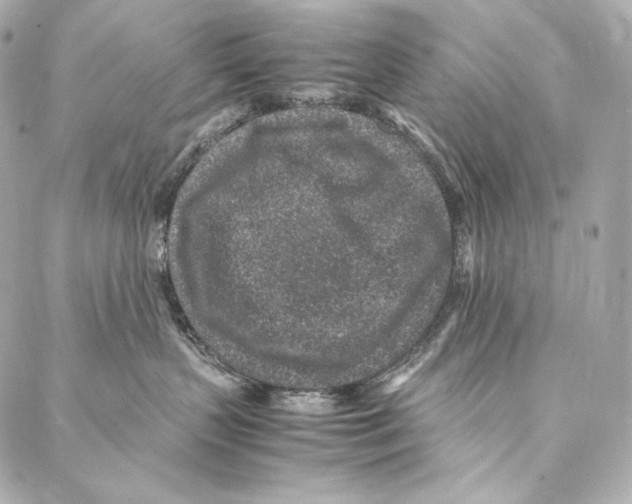 X0000086970383200705141657