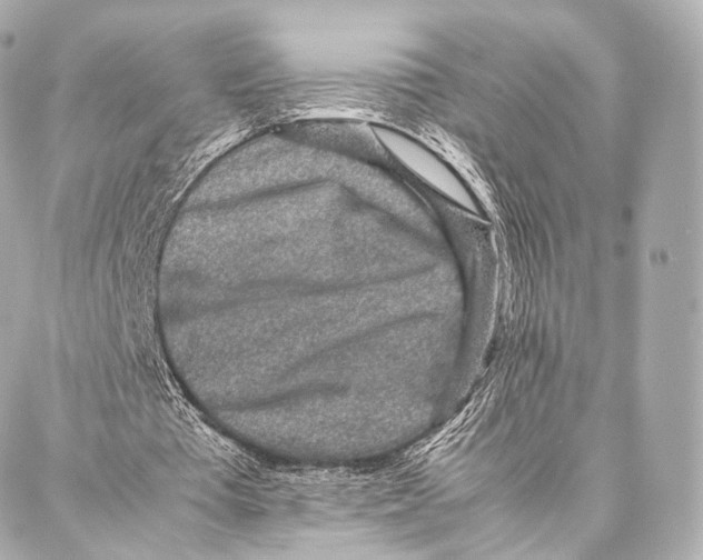 X0000086970385200705141656