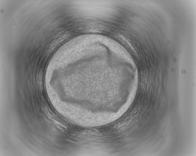 X0000086970386200705141656