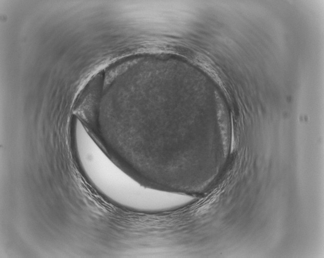 X0000086970387200705141656