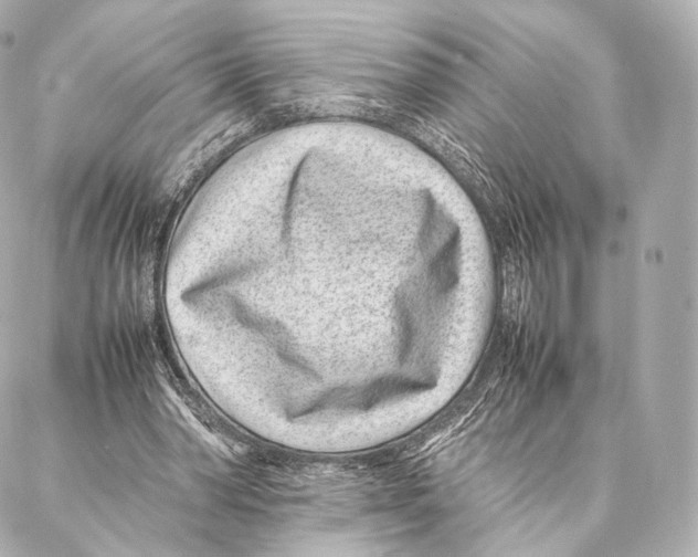 X0000086970390200705141656