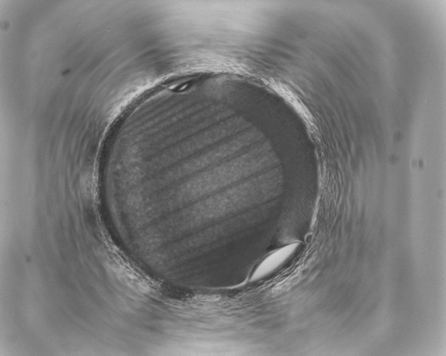 X0000086970391200705141656