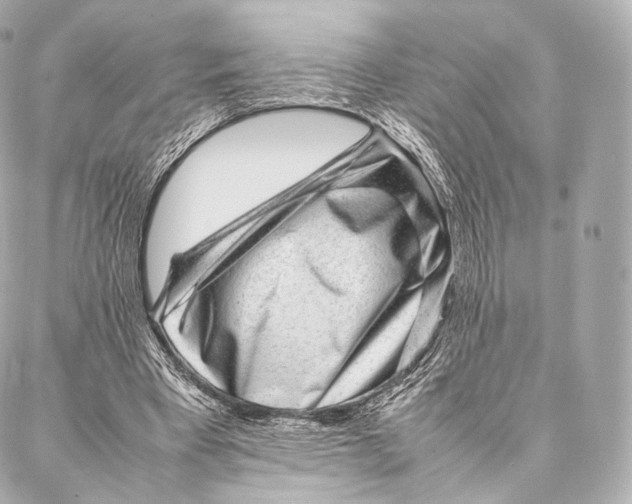 X0000086970393200705141656